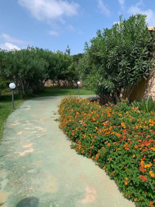 Villa Maveda, Un Dammuso Immerso Nel Verde Λαμπεντούζα Εξωτερικό φωτογραφία