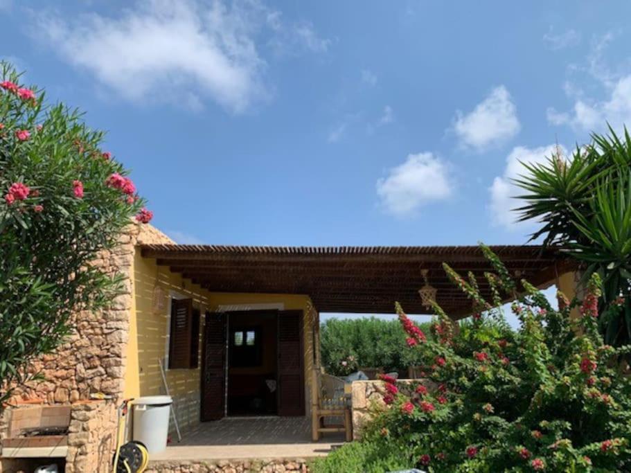 Villa Maveda, Un Dammuso Immerso Nel Verde Λαμπεντούζα Εξωτερικό φωτογραφία