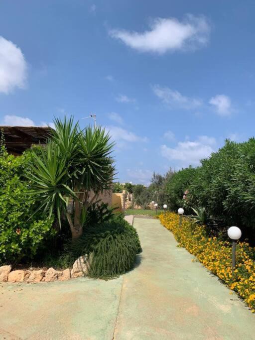 Villa Maveda, Un Dammuso Immerso Nel Verde Λαμπεντούζα Εξωτερικό φωτογραφία
